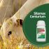 INOCULANTES